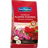 laide ala plantation8 exterieur mouroux laide ala plantation8 exterieur mouroux
