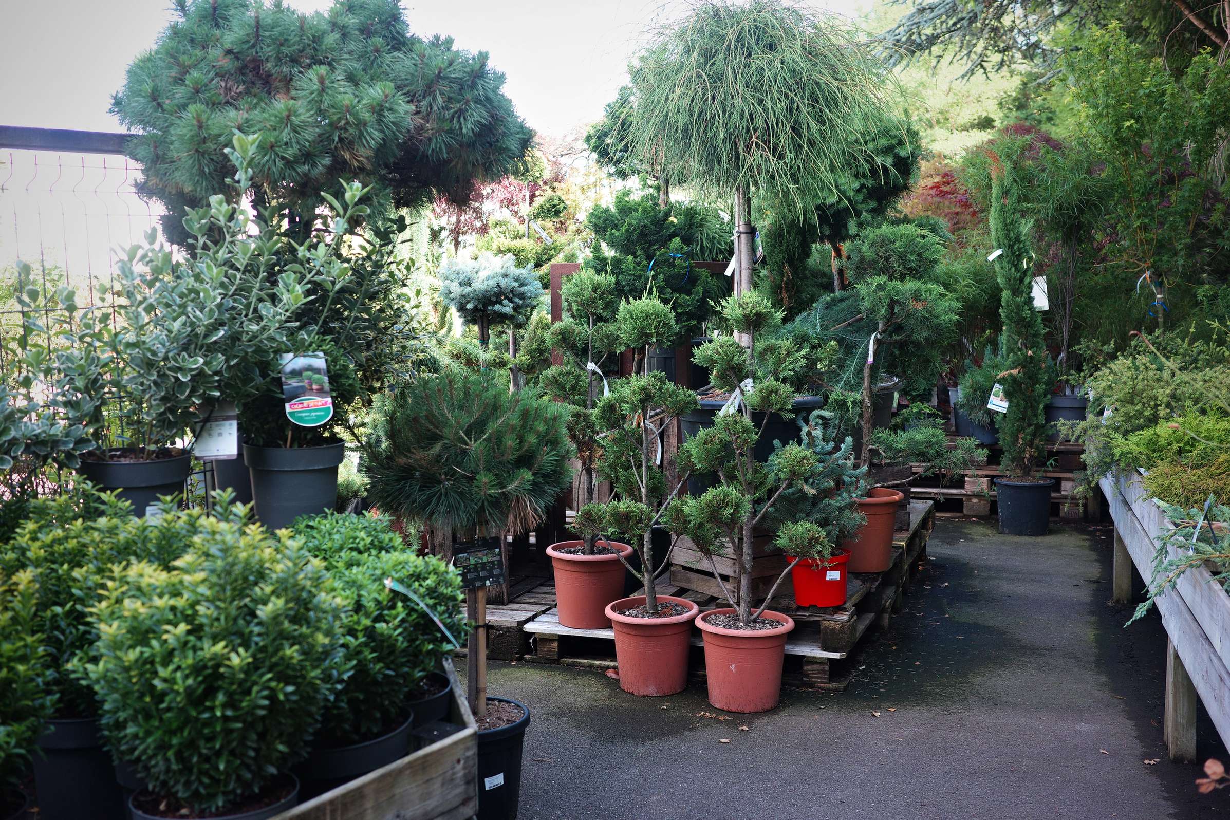 Tous au jardin 10