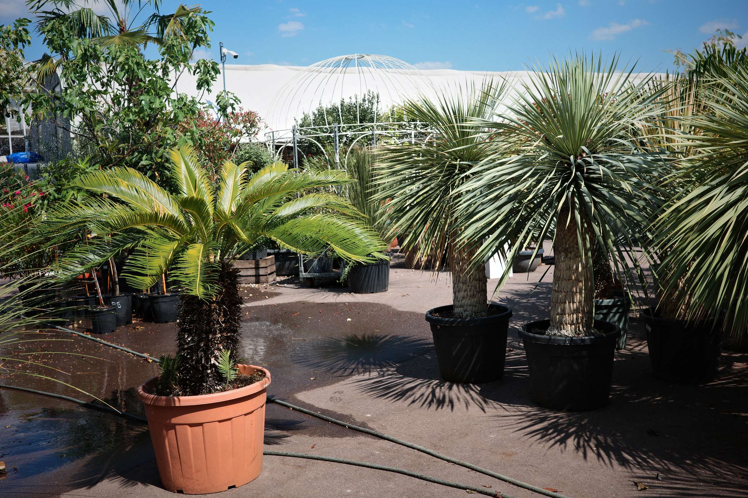 Tous au jardin 11