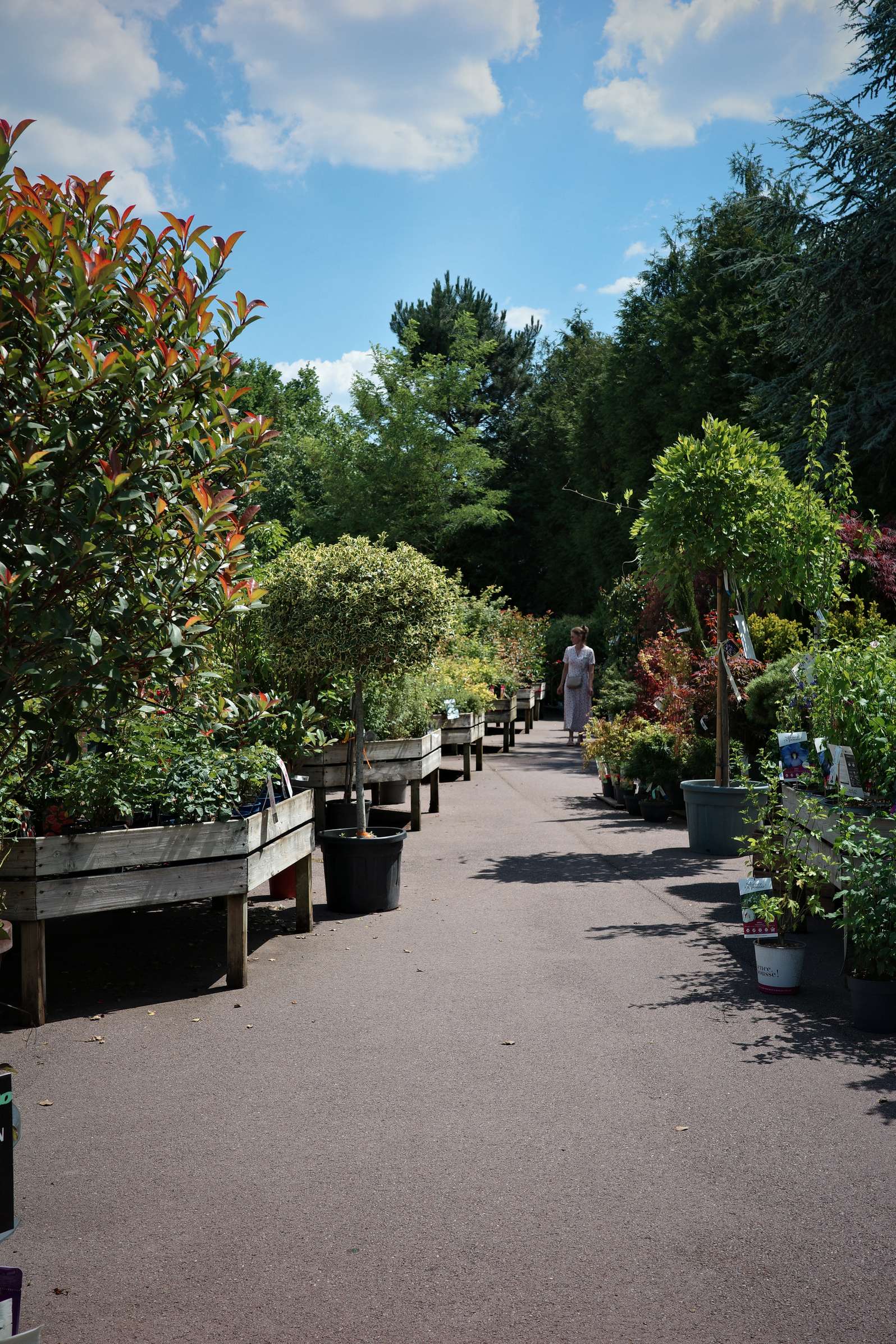 Tous au jardin 12