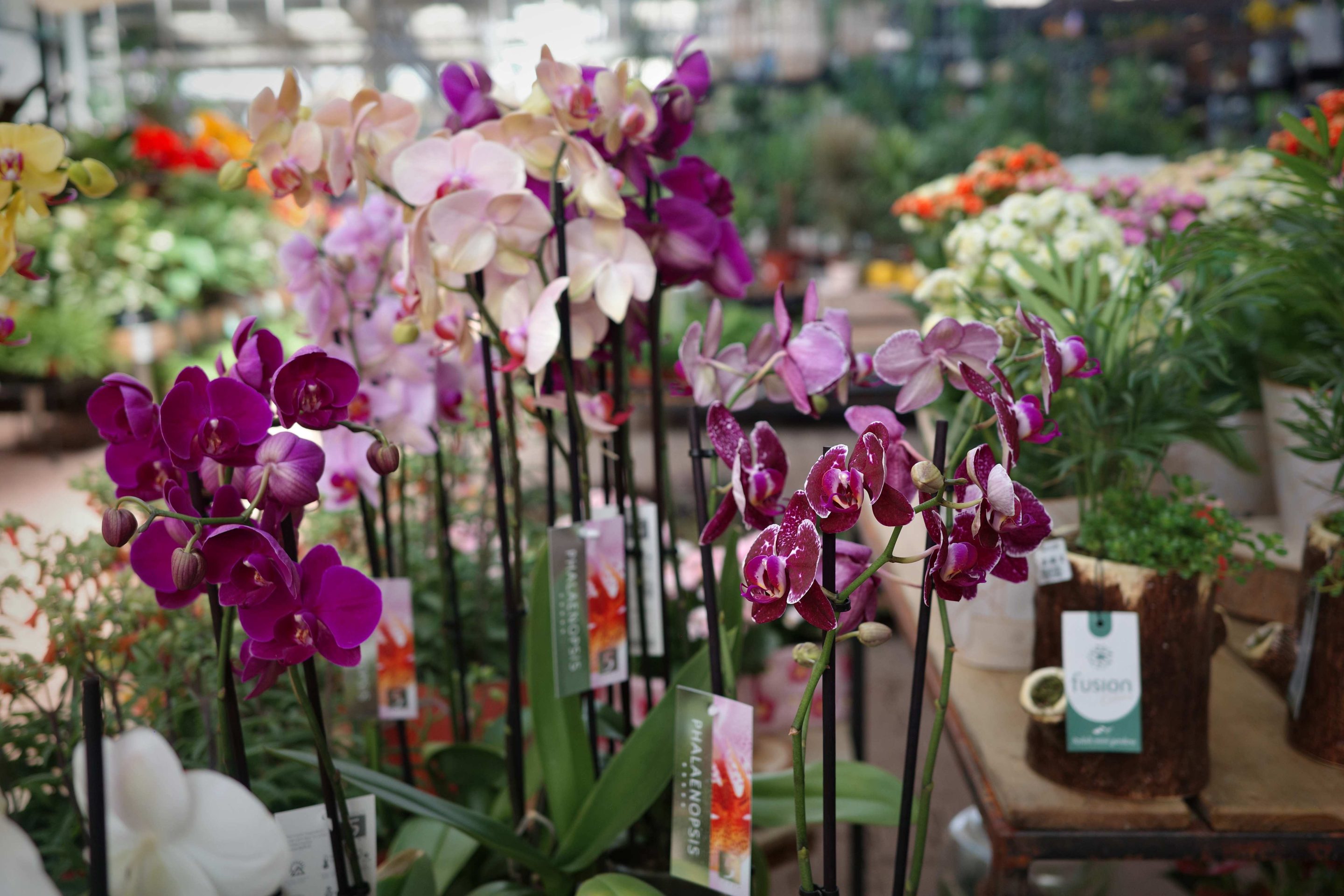 Tous au jardin 51